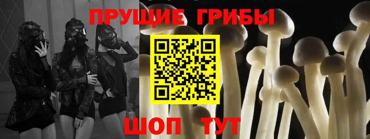 Нарткала  Галлюциногенные грибы MAGIC MUSHROOMS  Вход с VPN 